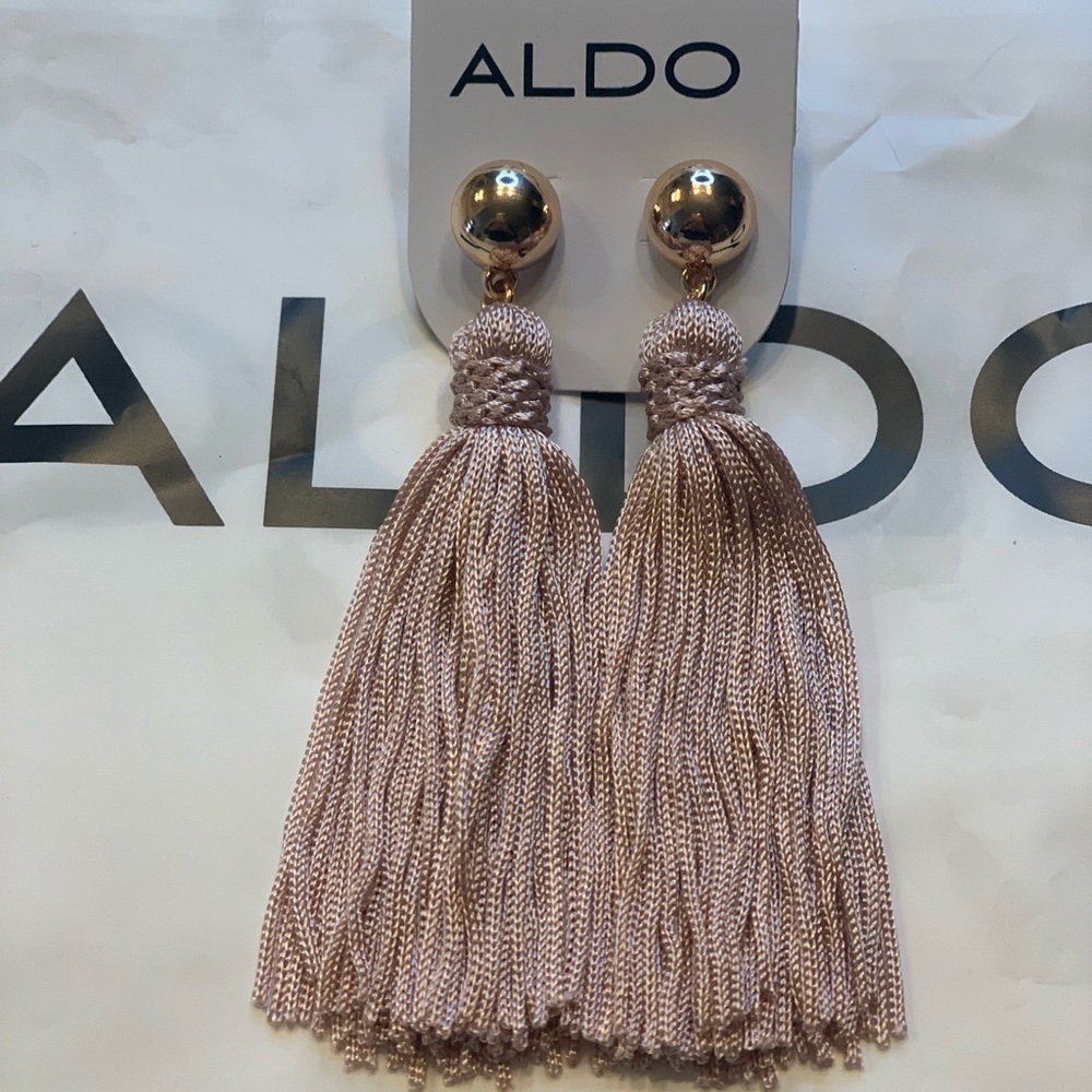 ALDO BAERIEN EARRINGS 💕